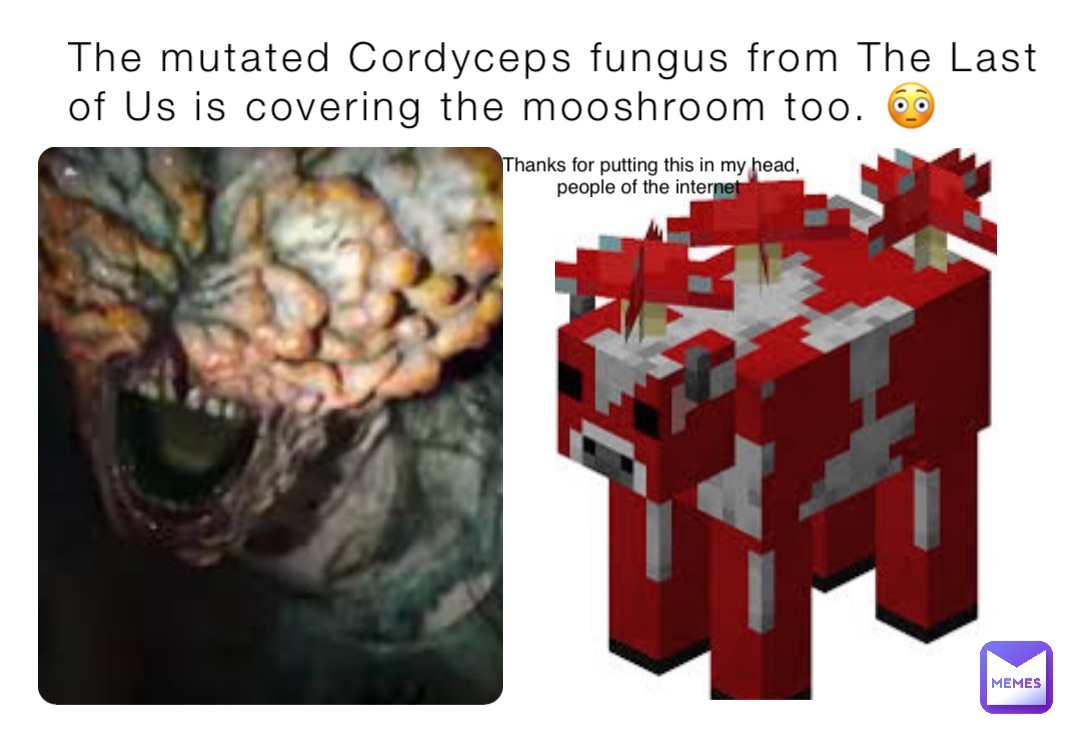 The mutated Cordyceps fungus from The Last of Us is covering the mooshroom too. 😳 Thanks for putting this in my head, people of the internet