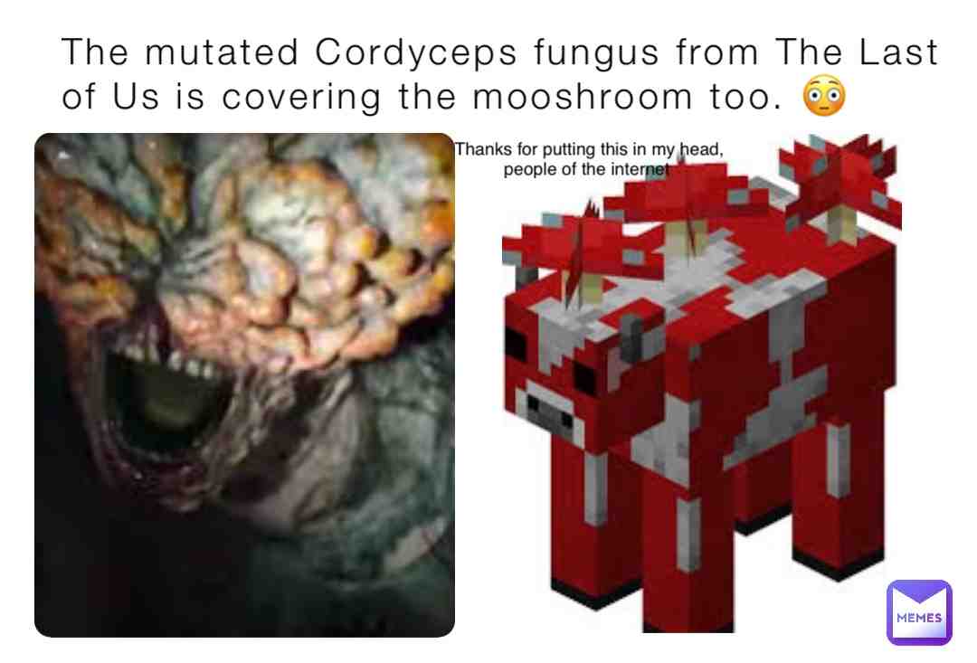 Screw you internet  #cordycepsfungus  #thelastofus  #minecraftmemes