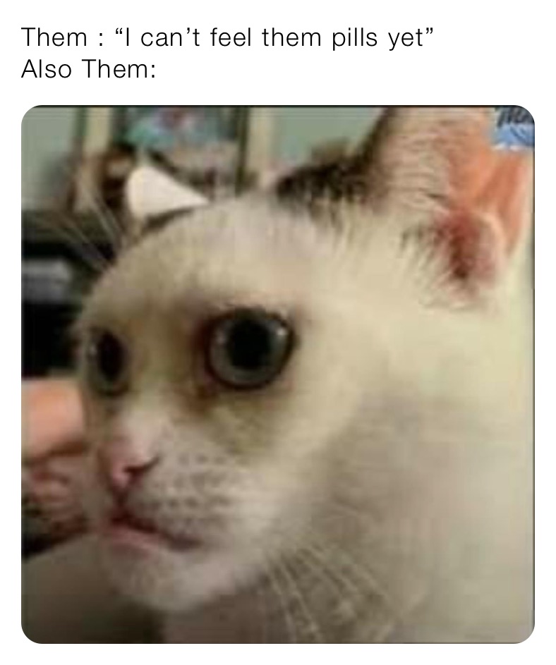 Them : “I can’t feel them pills yet”
Also Them: