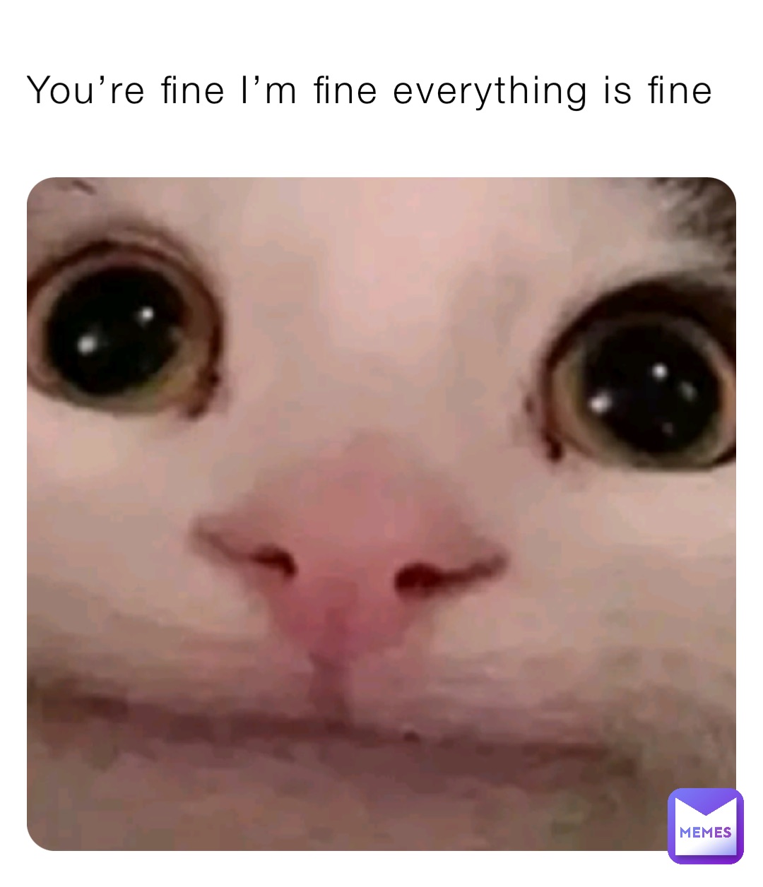 You’re fine I’m fine everything is fine