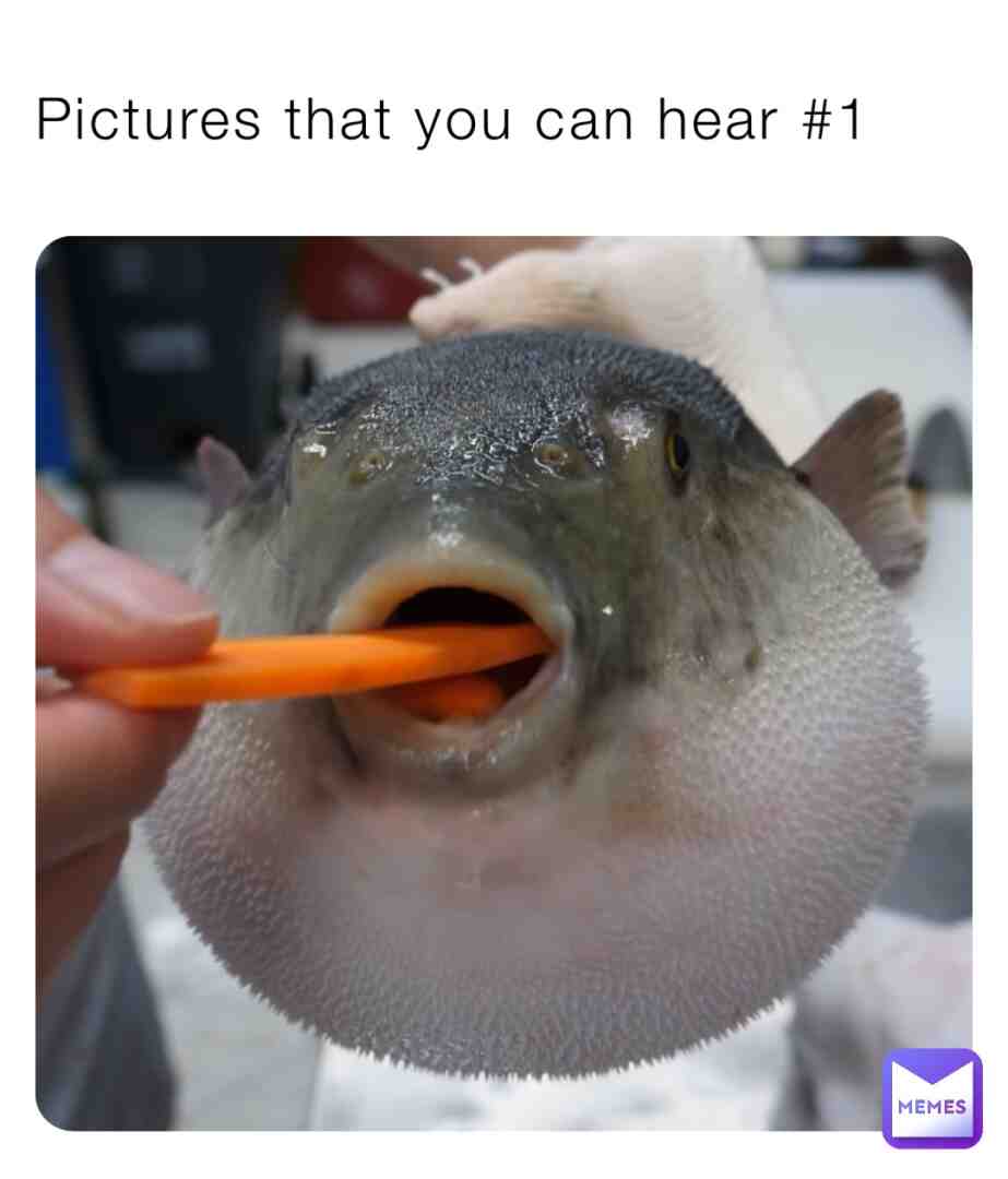 Meme shared by @g0ober