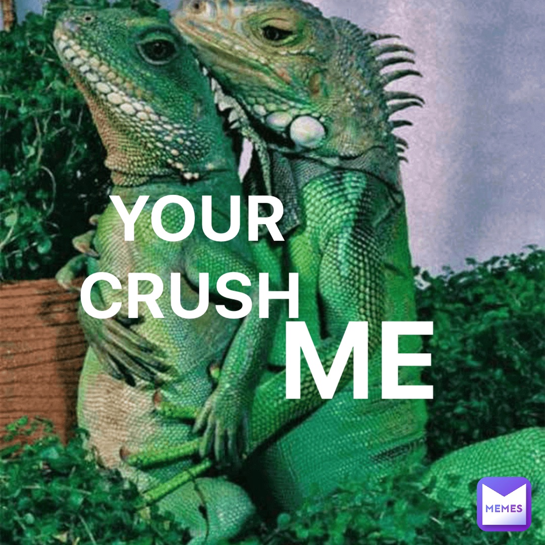 YOUR CRUSH ME