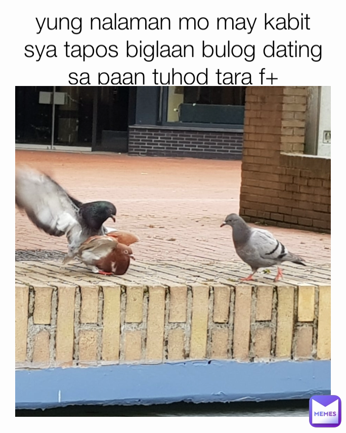 yung nalaman mo may kabit sya tapos biglaan bulog dating sa paan tuhod tara f+
