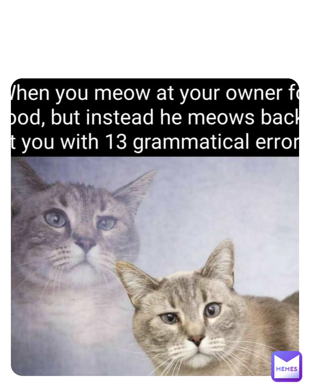 Meme by shell_puppies_rock