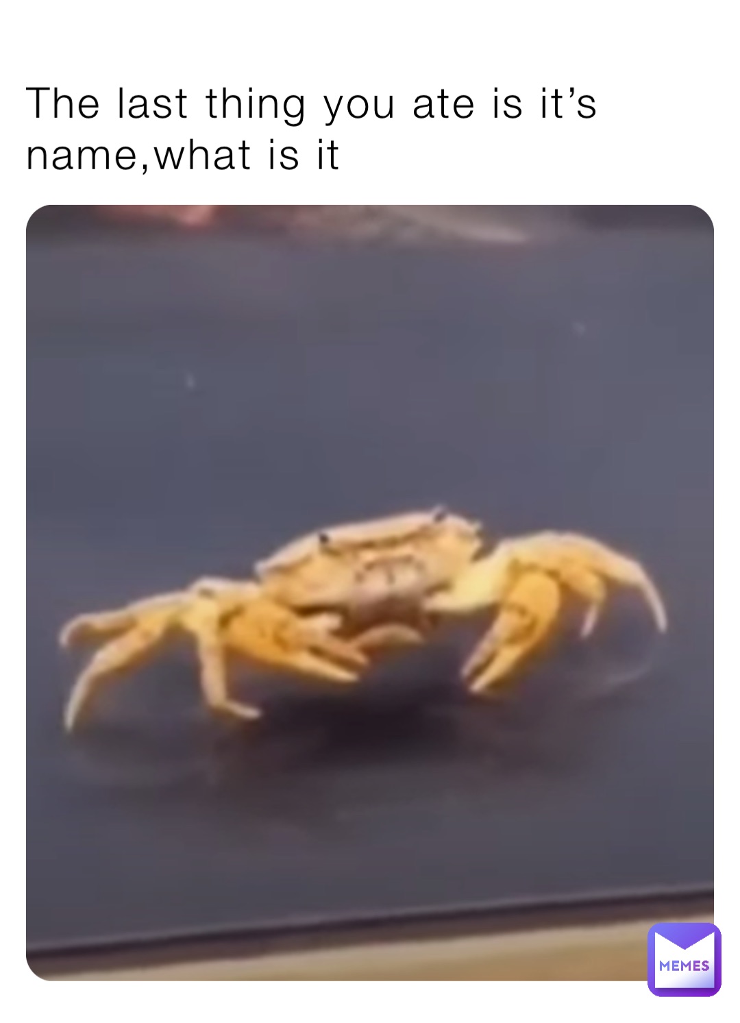 Meme by shell_puppies_rock