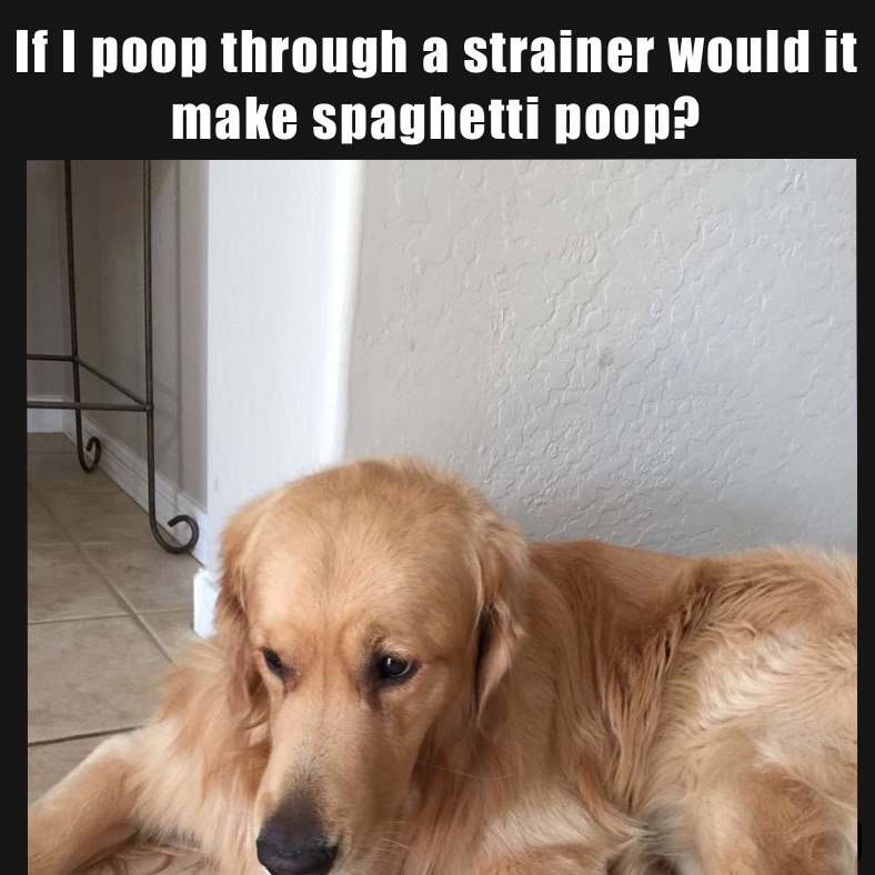 If I poop through a strainer would it make spaghetti poop?