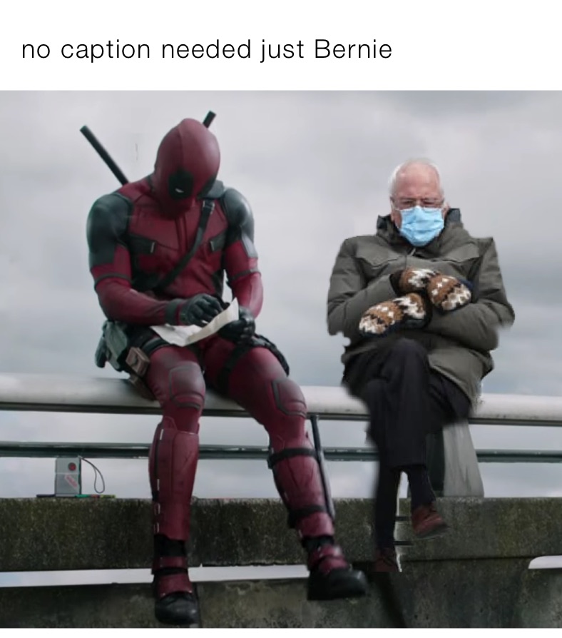 no caption needed just Bernie 