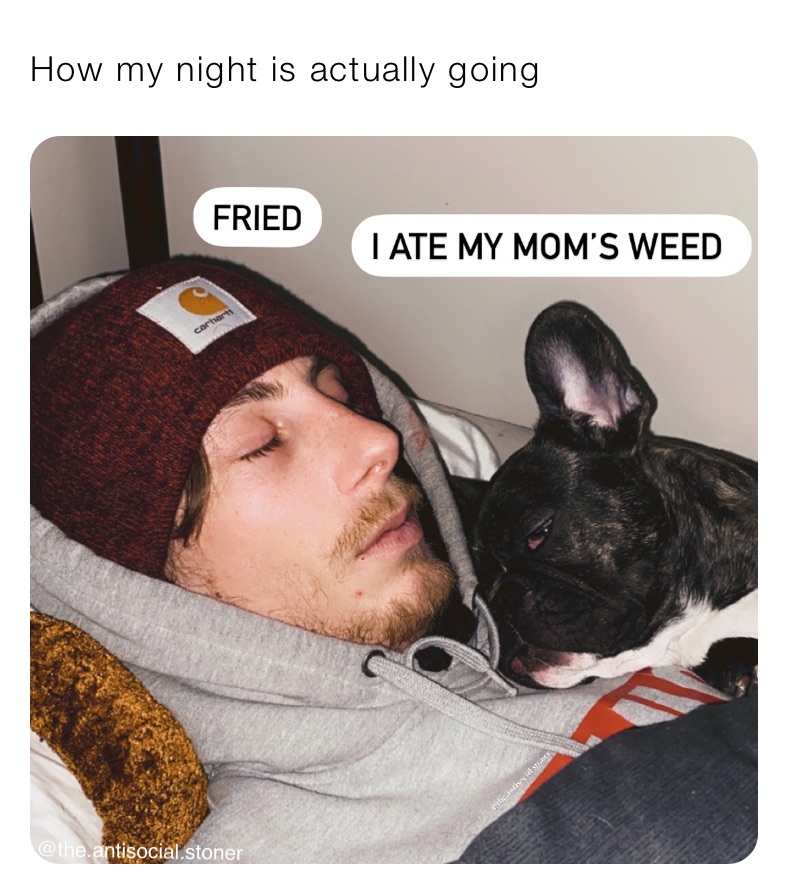 How my night is actually going