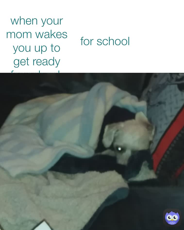 For School When Your Mom Wakes You Up To Get Ready For School Freecloudmemes Memes