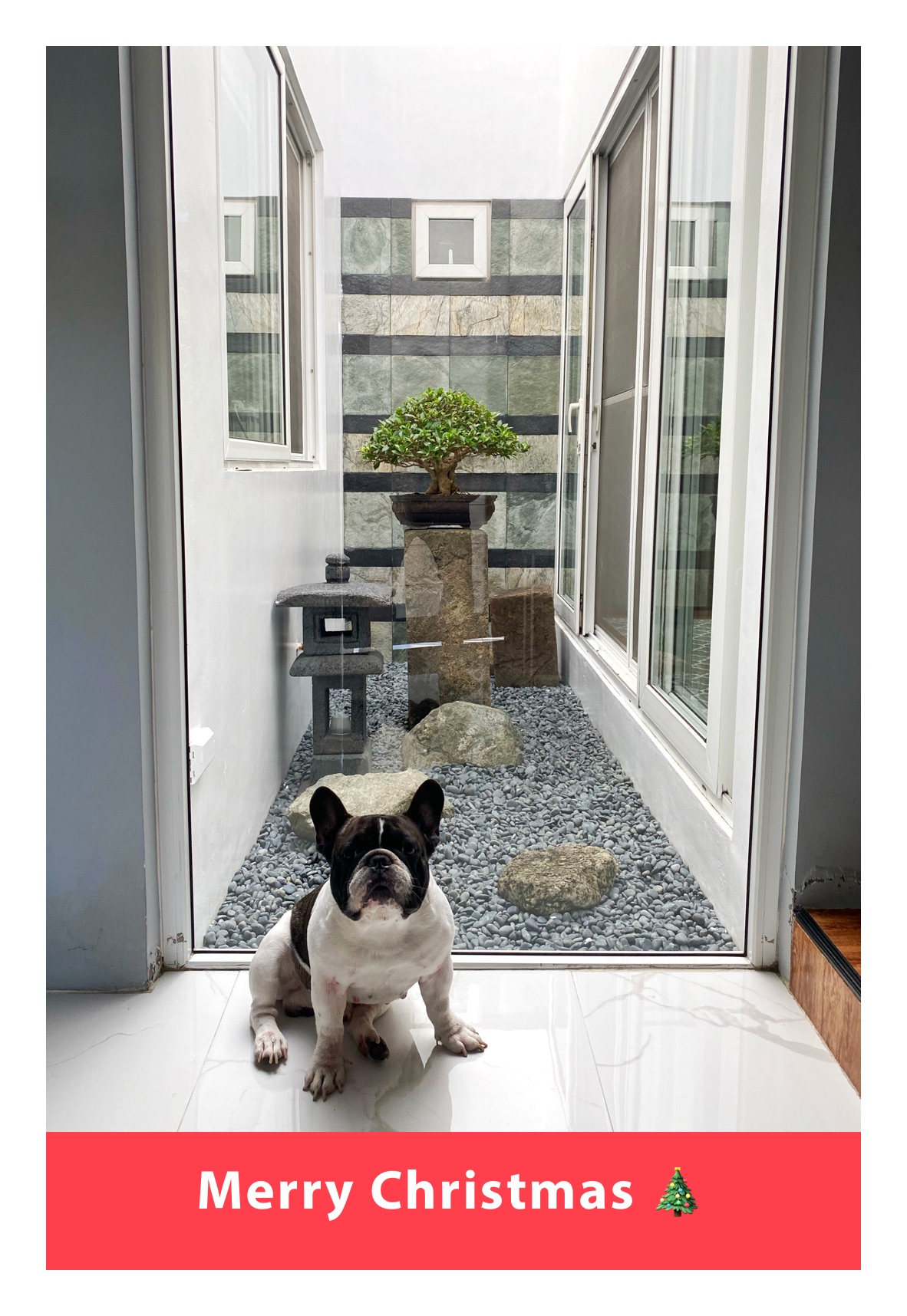 Meme by dante.i.reyes