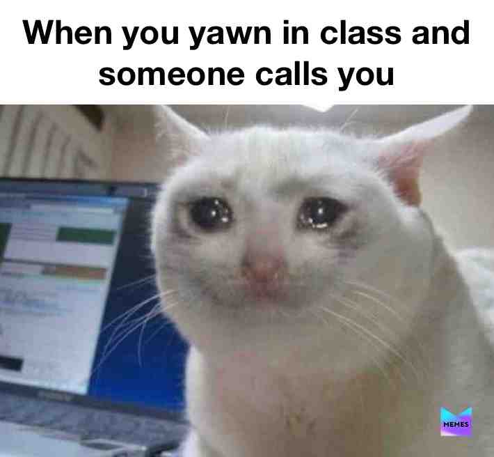 I hate yawning \ud83e\udd71
#school #memes #yawn #yawning #schoolproblems #schoolmemes #problems #problems