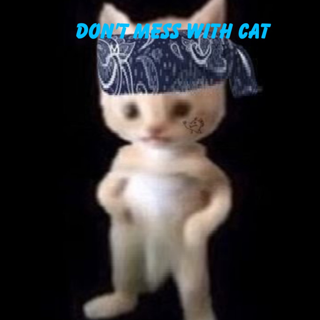don’t mess with cat