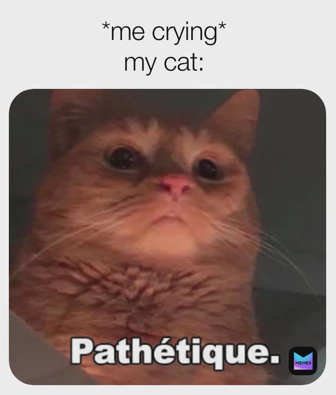 Meme by i_dont_know_who_i_am