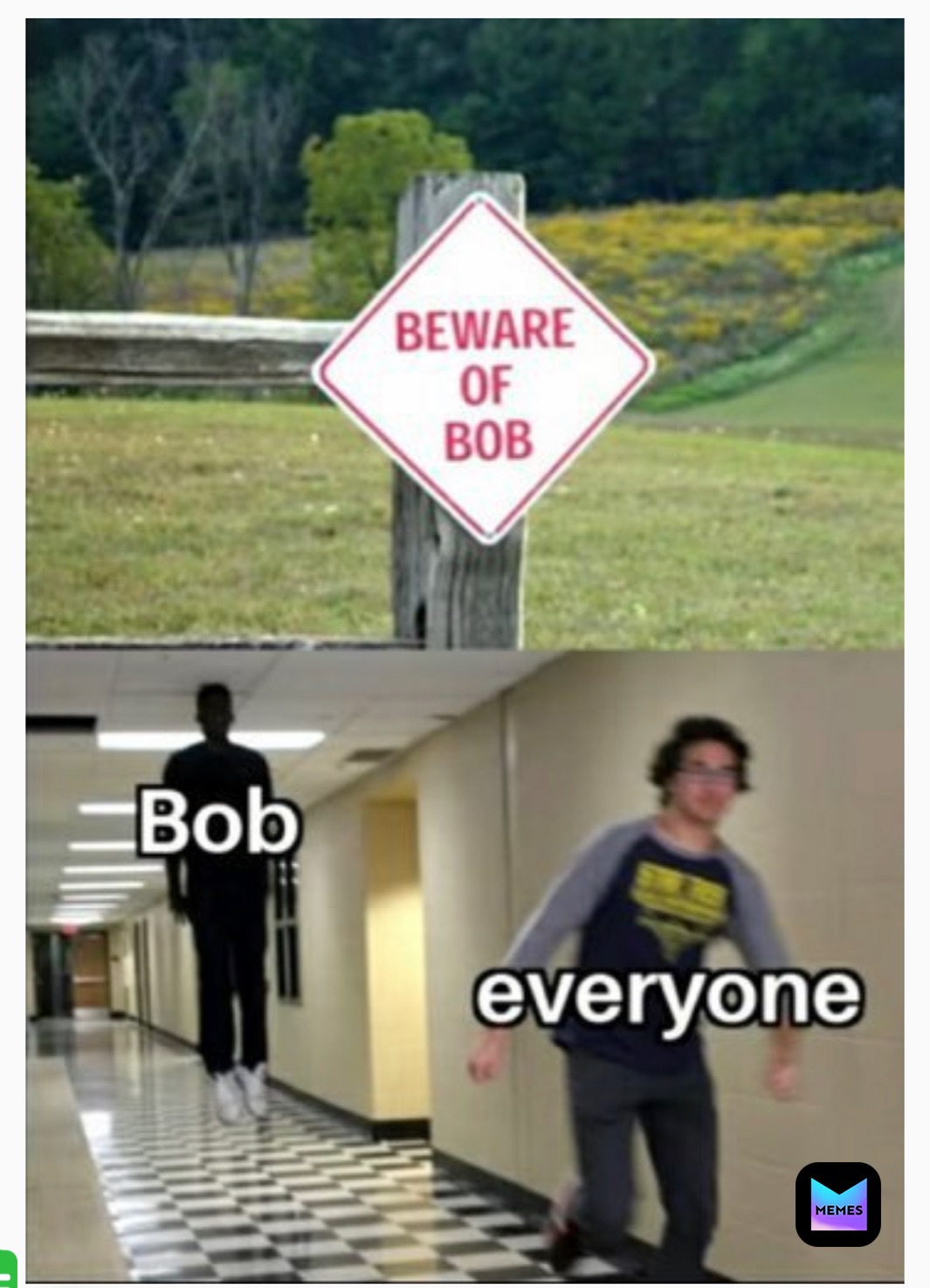 Meme by weebomemer809