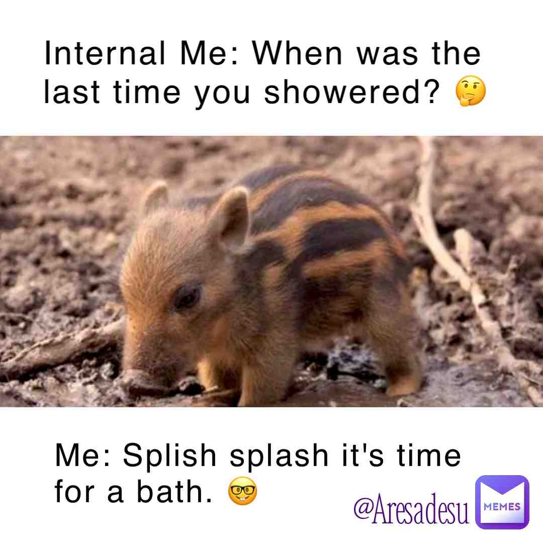 It's that time again. But I'm water phobic. No you're not, you're just stinky. Yeah, that too. #bathing #stinky #tinywarthog #cute #可愛い豚 #aresadesumemes