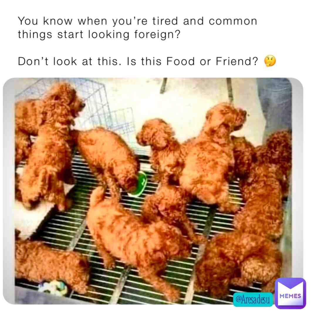 Late night studying or clocking in Long work hours, things just start looking a little fuzzy…or furry. lol. #tired #visuallyimpaired #doyouseewhatisee #aresadesumemes