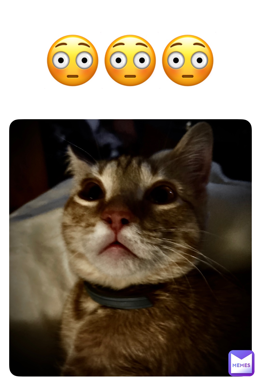 Meme by The_DOGE_channel