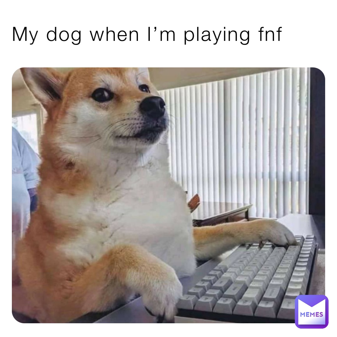 My dog when I’m playing fnf