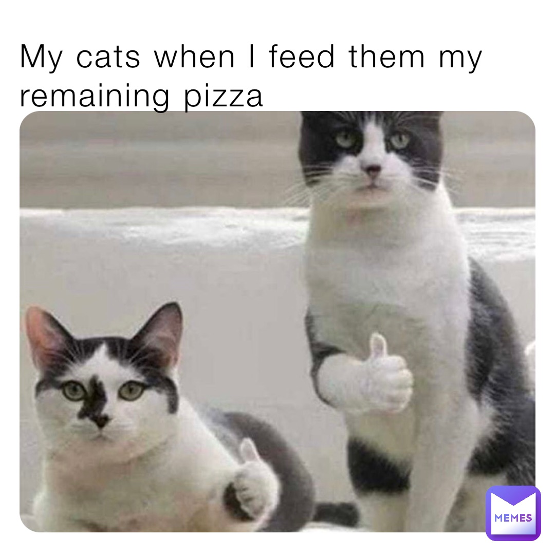 My cats when I feed them my remaining pizza