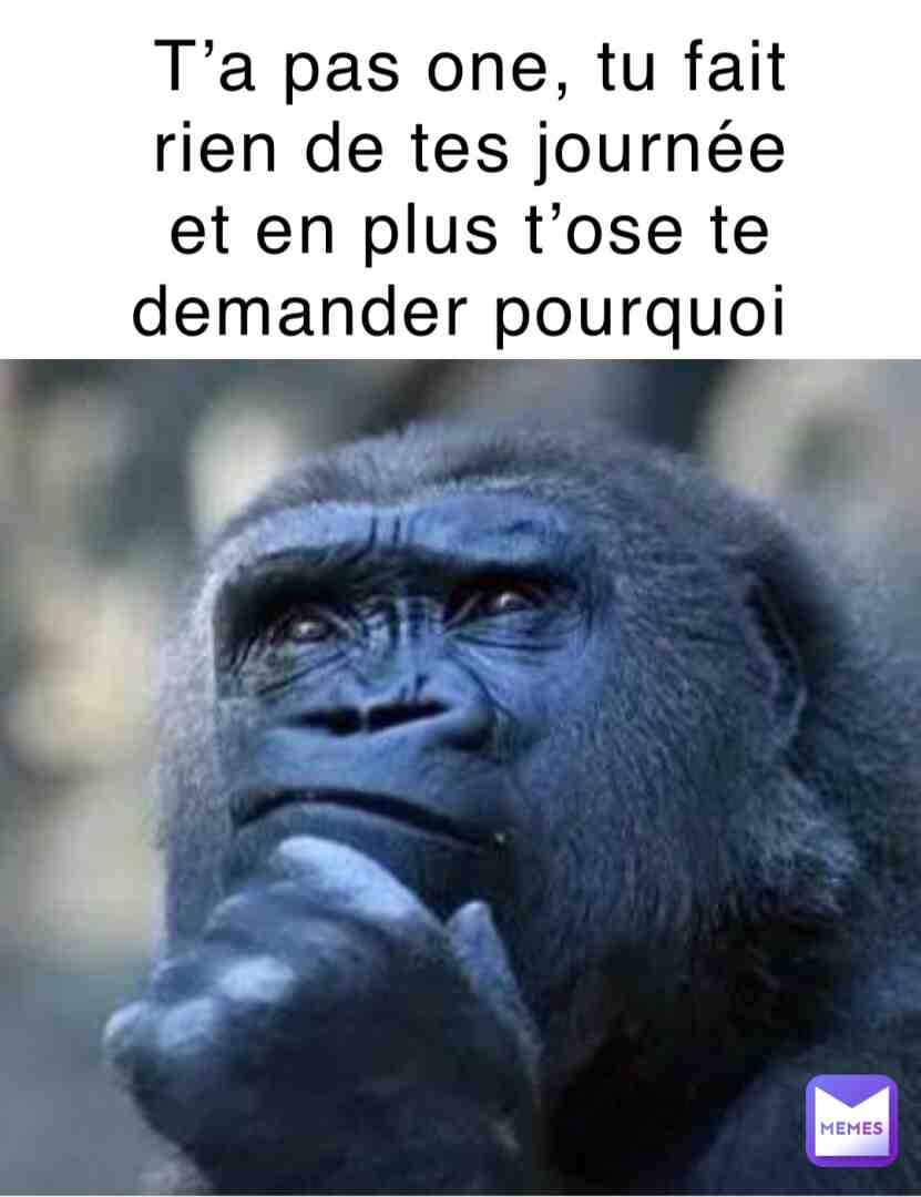 Meme shared by @ledeguns13k