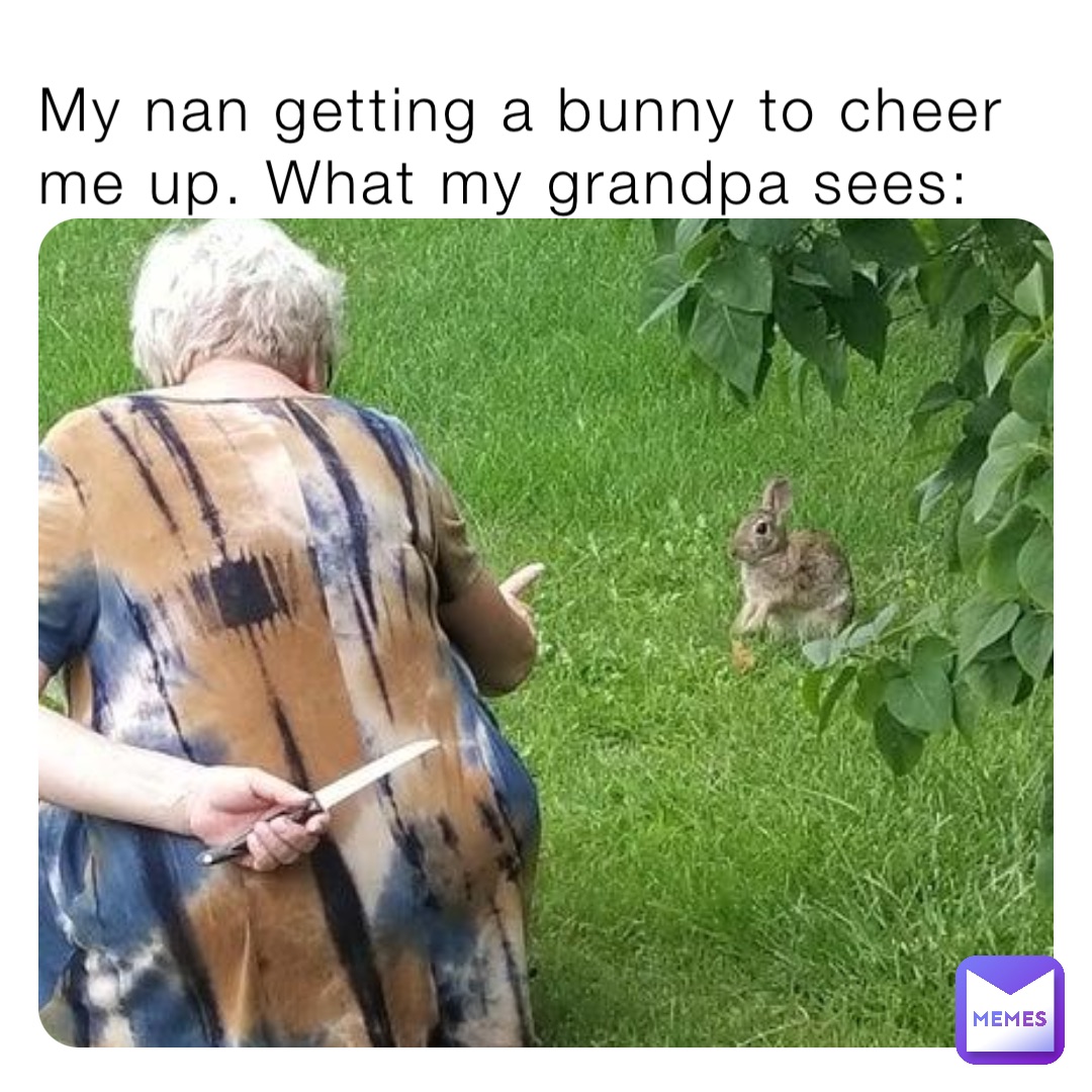 My nan getting a bunny to cheer me up. What my grandpa sees: