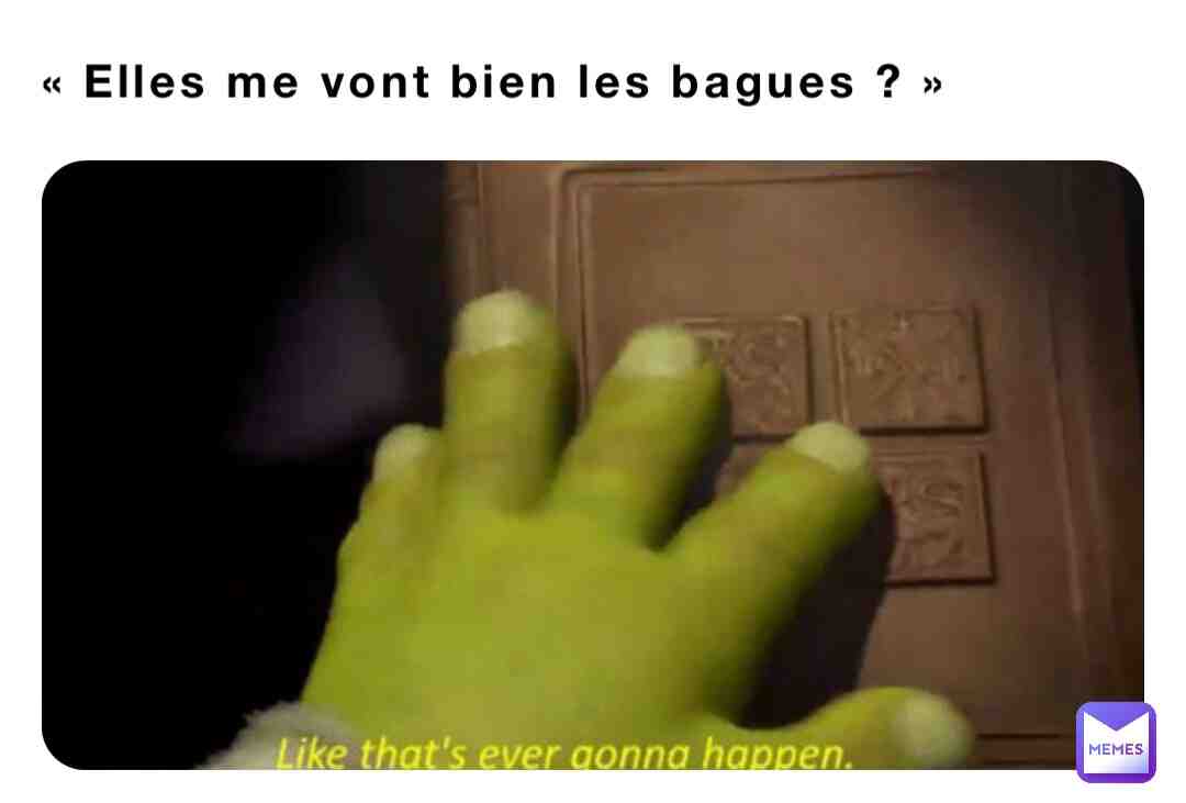 Meme shared by @chloe_pebeyre