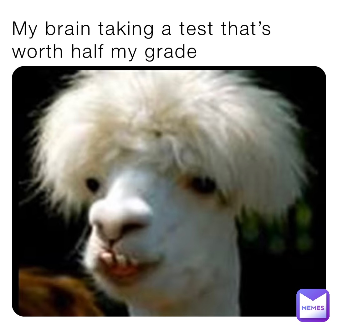 My brain taking a test that’s worth half my grade