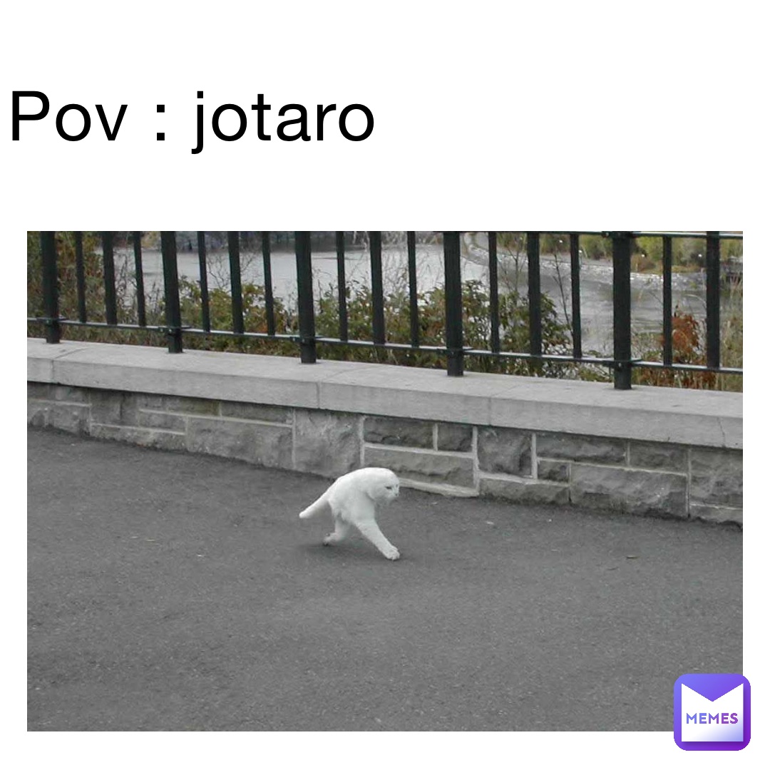 POV : jotaro