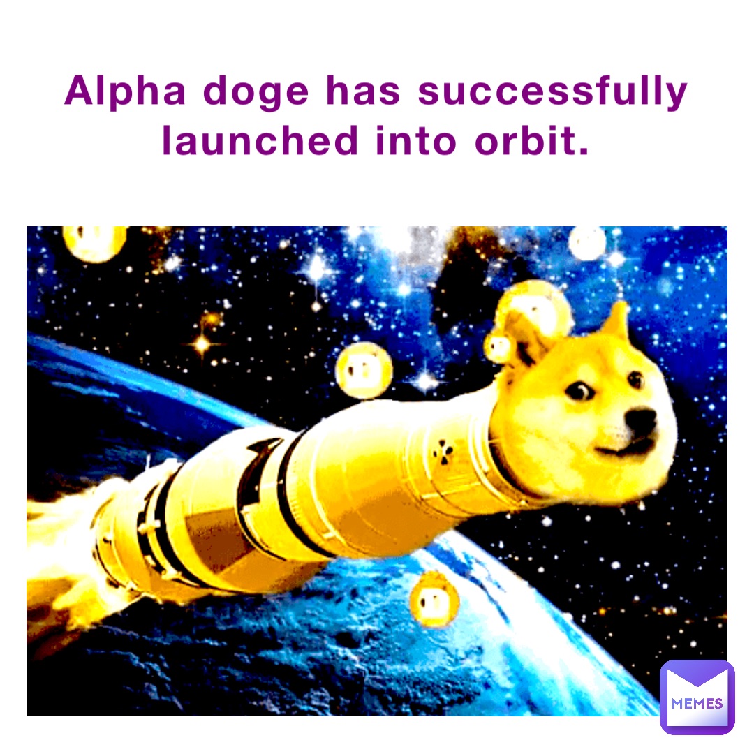 Alpha Doge has successfully launched into orbit.