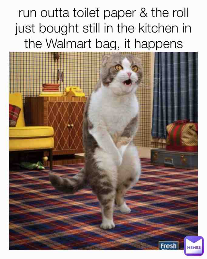 Meme shared by @jerry-jerry