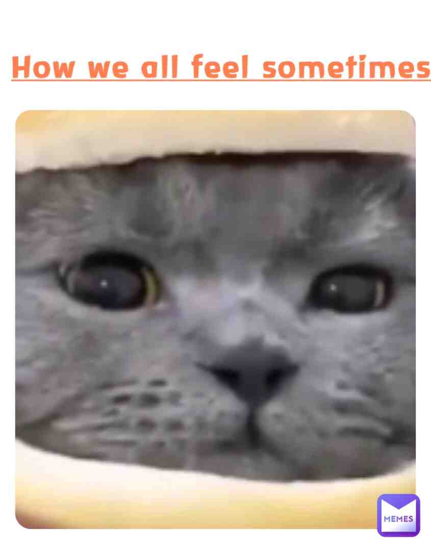 Hehe