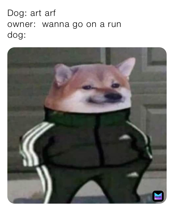 Dog: art arf 
owner:  wanna go on a run  
dog: