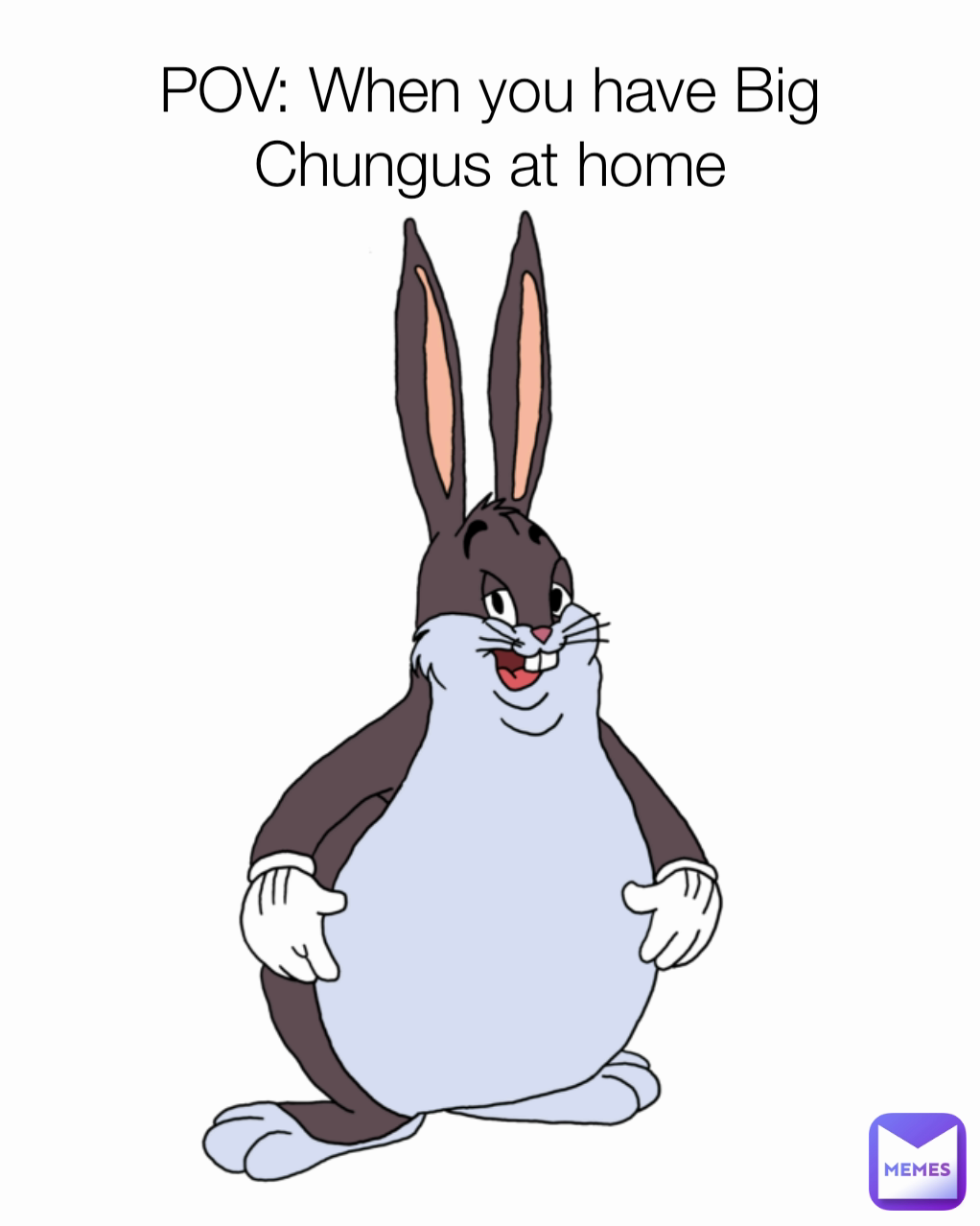 POV: When you have Big Chungus at home