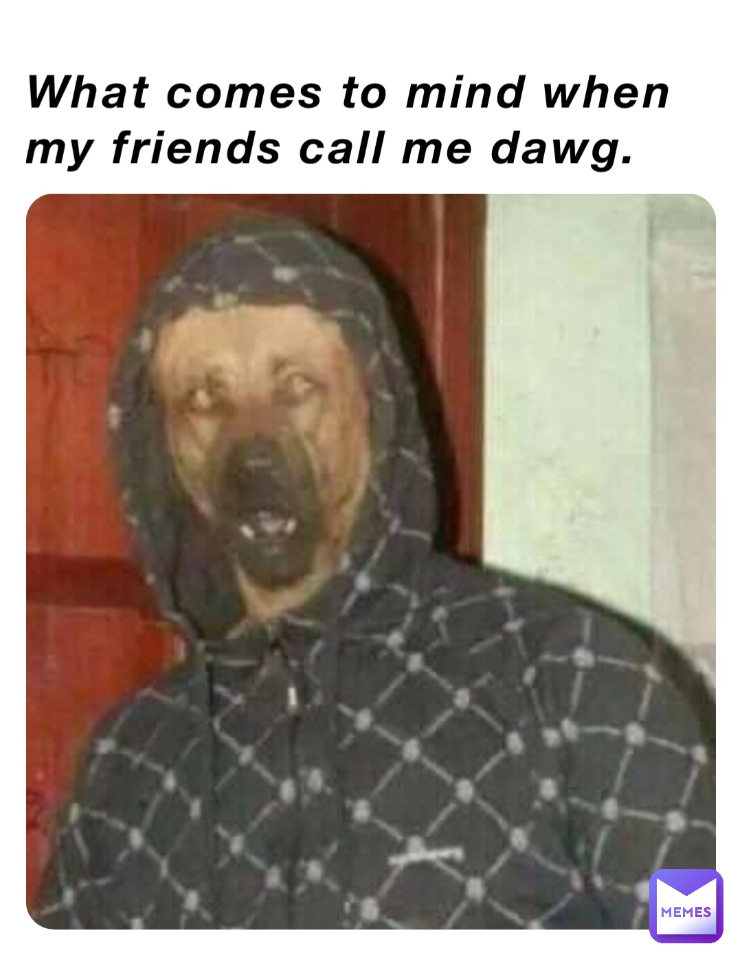 What comes to mind when my friends call me dawg.