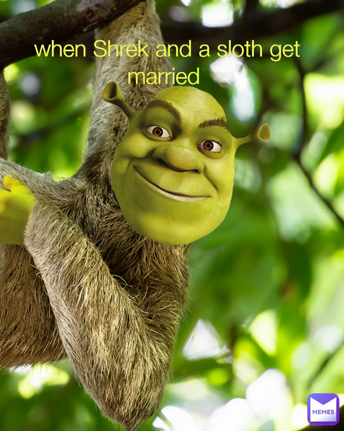 when Shrek and a sloth get married 