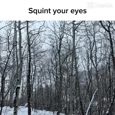 Meme preview