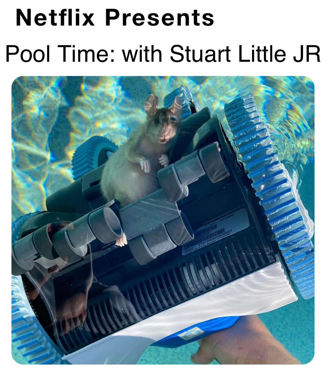 Netflix Presents Pool Time: with Stuart Little JR