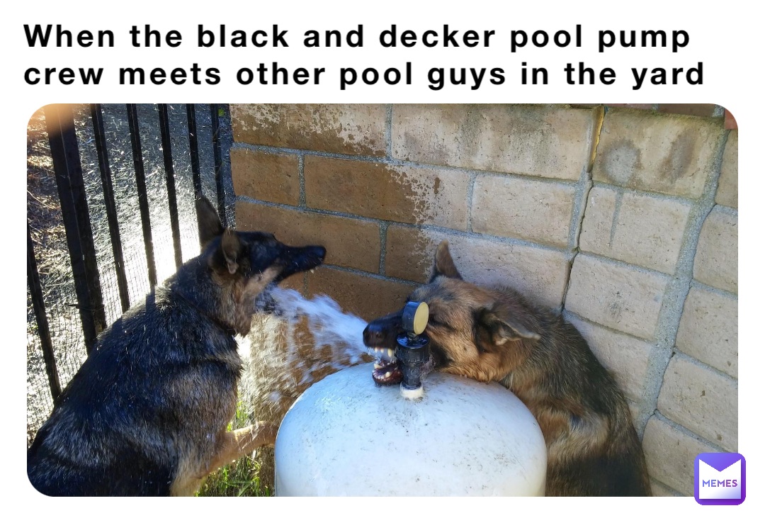 When the black and decker pool pump crew meets other pool guys in the yard