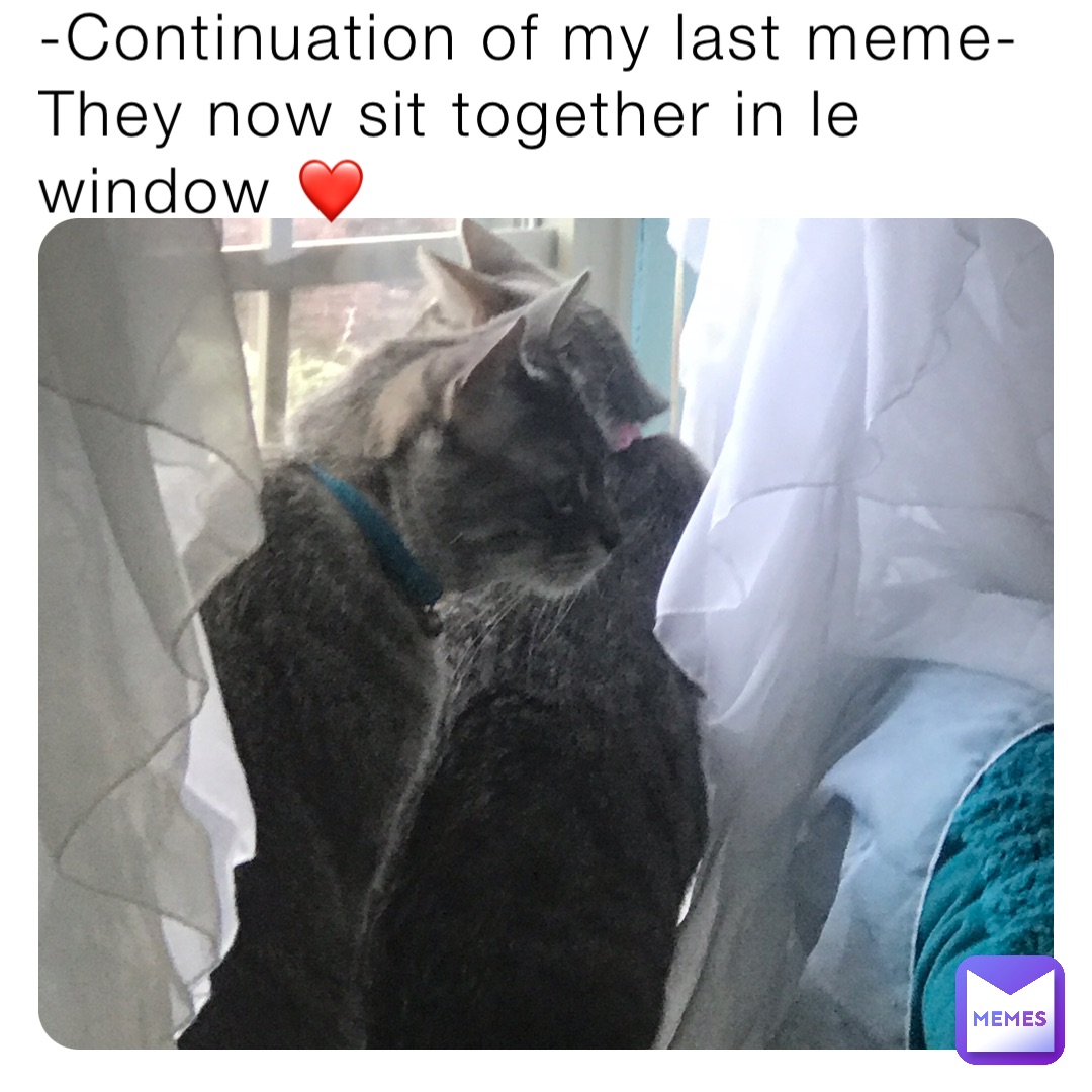 -Continuation of my last meme-
They now sit together in le window ❤️