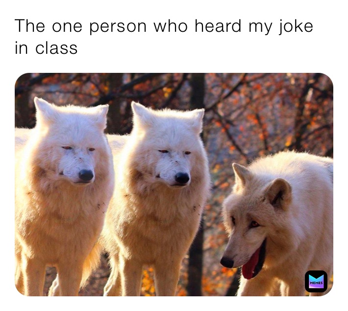 The one person who heard my joke in class