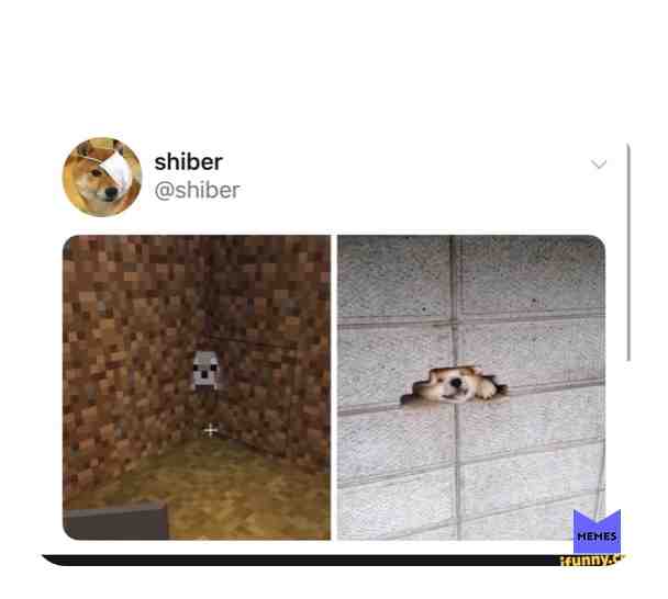 Follow me @memesdonation
\u2022daily meme content\ud83d\udcf6
\u2022we do shoutouts for loyals only!
\u2022send us your memes to be featured!\ud83d\udc40
\u2022other accounts
@envymyname
@dailymemesdonation
@world.record.420
\u2022donations: paypal.me/memedonate
#meme #memes #funny #dankmemes #dank #funnymemes #memesdaily #lol #4chan #cringe #tumblr #wtf #edgy #like4like #followme #quotes #instagood #aesthetic #rofl #cancer #lmao #hilarious #ps4 #daily #edgymemes #music #instadaily #offensivememes #haha #memeaccount
Snapchat\ud83d\udc7b:memesdonation
Youtube:memesdonation
\u2022tag 3 friends and 3 comments for a spam!