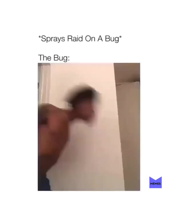 Follow me @memesdonation
\u2022daily meme content\ud83d\udcf6
\u2022we do shoutouts for loyals only!
\u2022send us your memes to be featured!\ud83d\udc40
\u2022other accounts 
@envymyname 
@dailymemesdonation
@world.record.420
\u2022donations: paypal.me/memedonate
 #meme  #memes  #funny  #dankmemes  #dank  #funnymemes  #memesdaily  #lol  #4chan  #cringe  #tumblr  #wtf  #edgy  #like4like  #followme  #quotes  #instagood  #aesthetic  #rofl  #cancer  #lmao  #hilarious  #ps4  #daily  #edgymemes  #music  #instadaily  #offensivememes  #haha  #memeaccount 
Snapchat\ud83d\udc7b:memesdonation
Youtube:memesdonation
\u2022tag 3 friends and 3 comments for a spam!