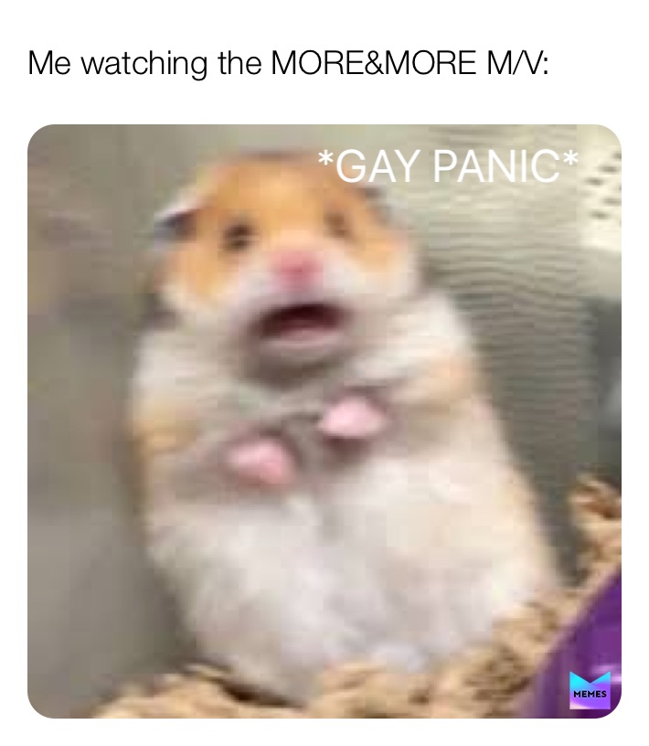 Meme by rainykitten3212