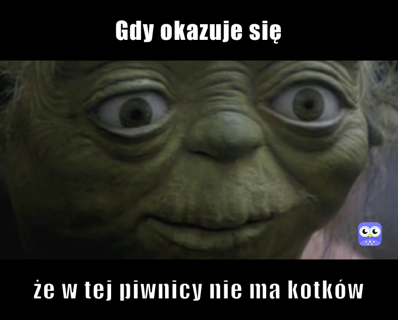 Gdy okazuje się że w tej piwnicy nie ma kotków