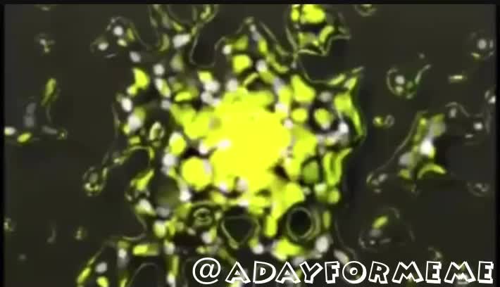 @memes It’s Here Now That’s What I Call Corona Virus’s 🦠  ​Funny ​Meme ​Money ​Uk ​Fun ​People ​Lol ​Funnyshit ​Laugh ​Smile  #crona  #cronavirus  #haha  #funny  #meme  #cronavirusmemechallenge