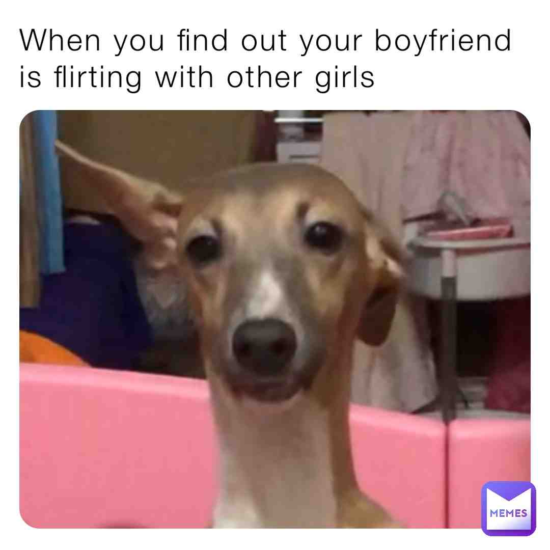When you find out your boyfriend is flirting with other girls.
#dog #puppy #italiangreyhound #meme #highlight #memes #boyfriend #doggo