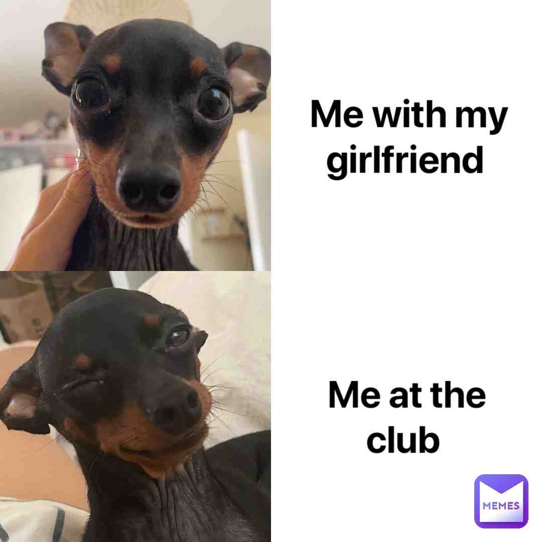 Me with my girlfriend VS me at the club
Who do u prefer?\ud83d\ude0b
#dog #puppy #funny #bambi #jokes #joke #meme #highlight #memes #boyfriend #girlfriend #doggo