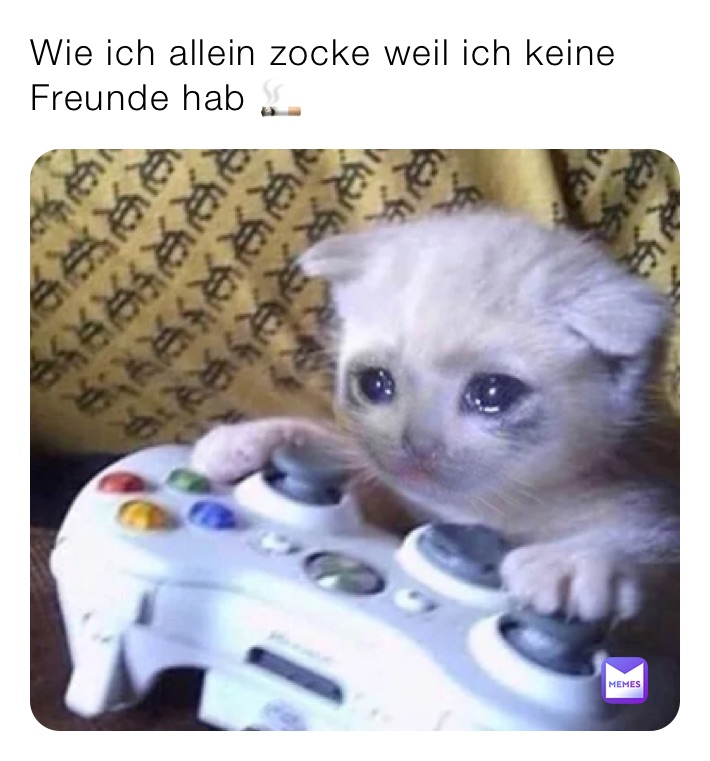 Wie ich allein zocke weil ich keine Freunde hab 🚬