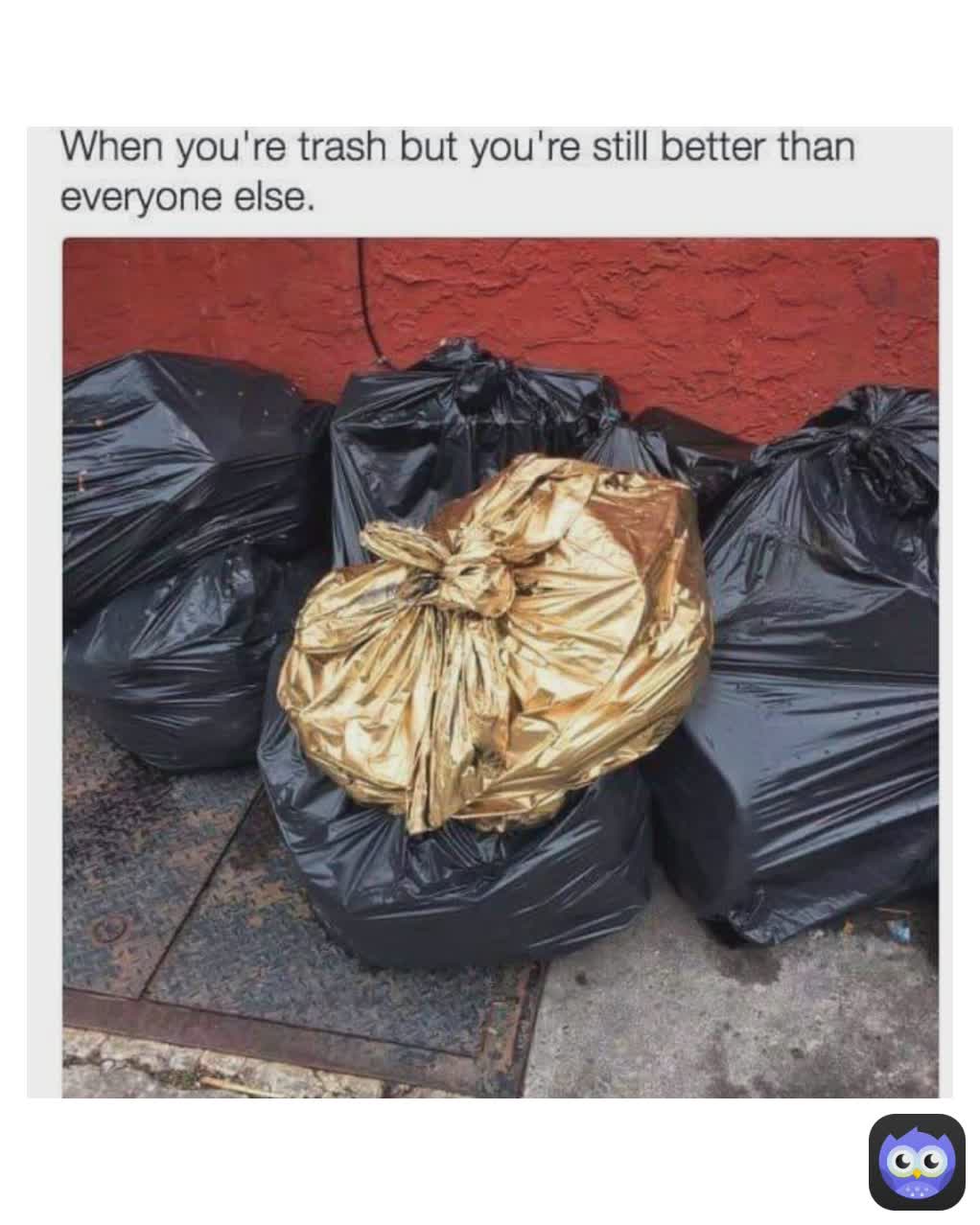 Meme by sakhamberidzenini