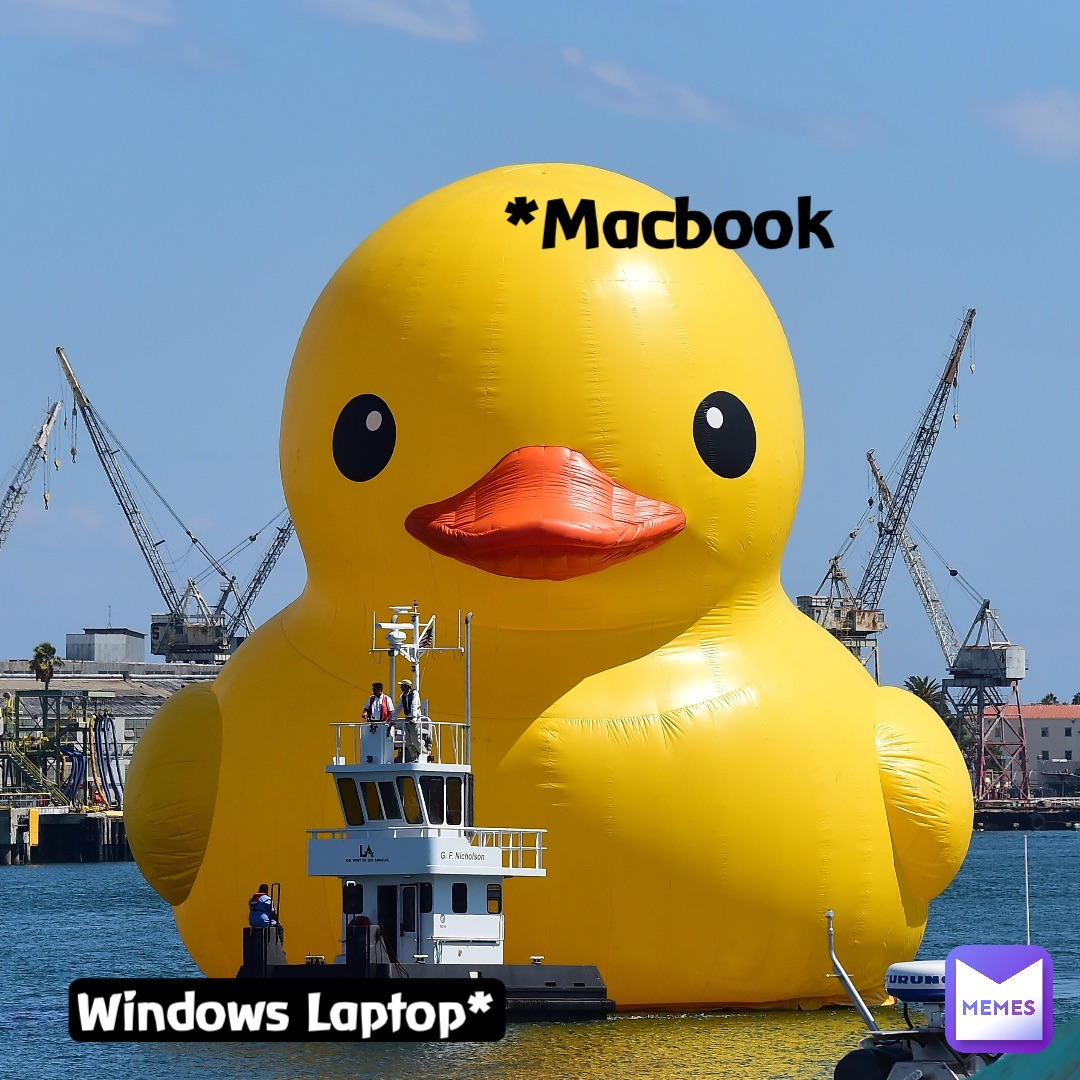 Windows Laptop* *Macbook